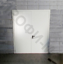 Дверь двупольная противопожарная ДПМ EI-60