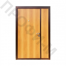 Металлическая двупольная дверь